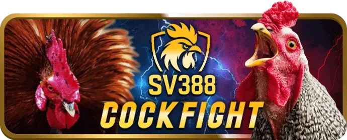 Cá cược thể thao mb66b5